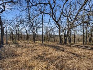 MLS #21149075 image #0