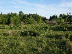 MLS #21158222 image #0