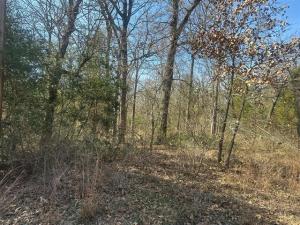 MLS #21162616 image #0