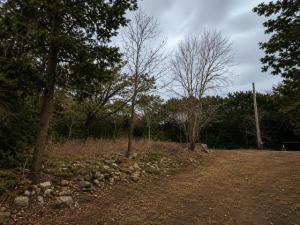 MLS #21165411 image #0