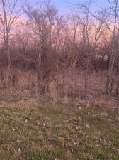 MLS #21174748 image #0