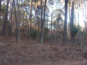 MLS #21178483 image #0