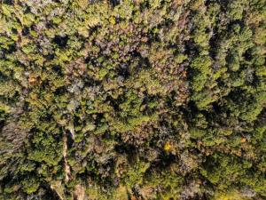 MLS #21189644 image #0