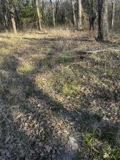 MLS #21194406 image #0
