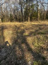 MLS #21194419 image #0