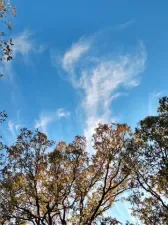 broker reciprocity