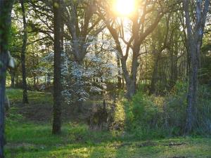 MLS #21210545 image #0
