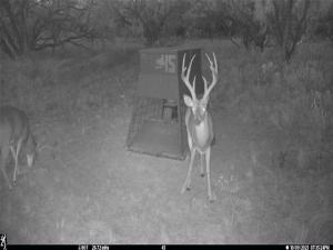 MLS #21226966 image #0