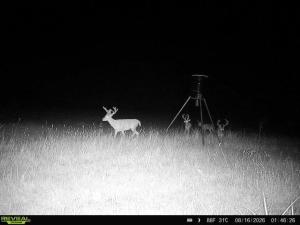 MLS #21235471 image #0