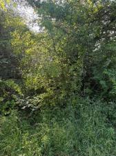 MLS #21241928 image #0