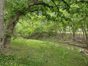 MLS #21255426 image #0