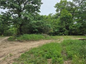MLS #21260506 image #0