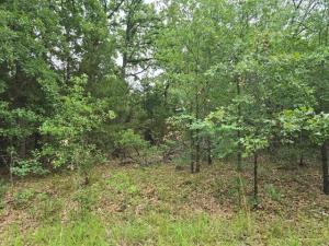 MLS #21262884 image #0