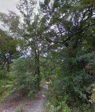 MLS #21266560 image #0