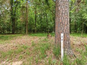 MLS #21275960 image #0