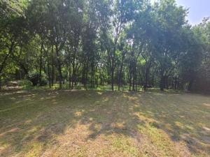 MLS #21277792 image #0