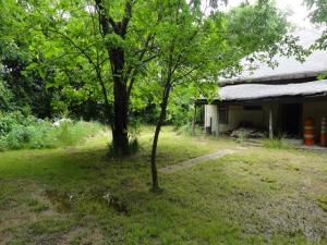 MLS #21278400 image #0