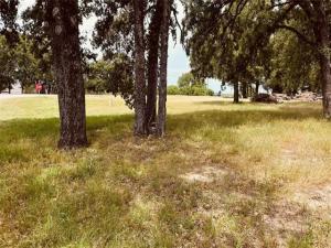 MLS #21279964 image #0