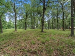 MLS #21295855 image #0