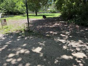 MLS #21305563 image #0
