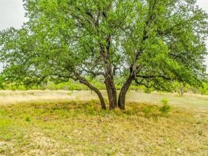 MLS #21311039 image #0