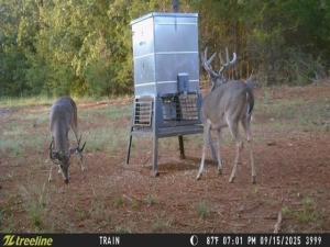 MLS #21319736 image #0