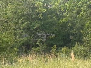 MLS #21325631 image #0