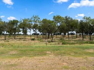 MLS #21326413 image #0