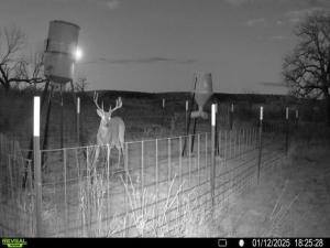 MLS #21333829 image #0