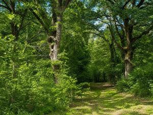 MLS #21340668 image #0
