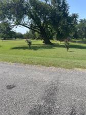 MLS #21342274 image #0