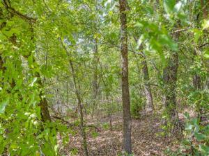 MLS #21347842 image #0