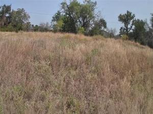 MLS #21349161 image #0