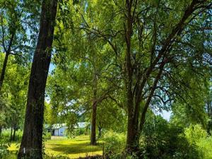 MLS #21356970 image #0