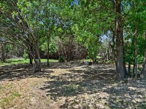 MLS #21359190 image #0