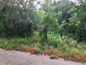MLS #21360302 image #0