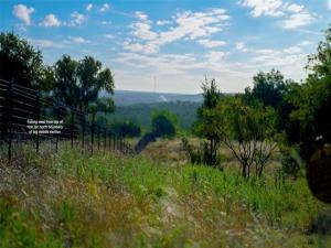 MLS #21366092 image #0