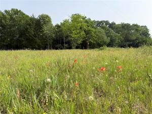 MLS #21371007 image #0