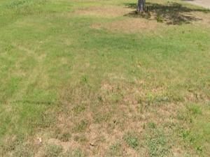 MLS #227905 image #0