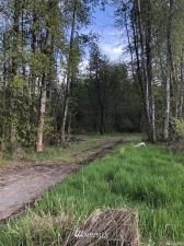 MLS #NWM1768063 image #0