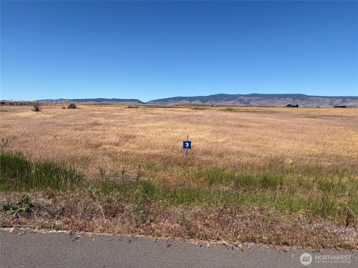 MLS #NWM1807631 image #0