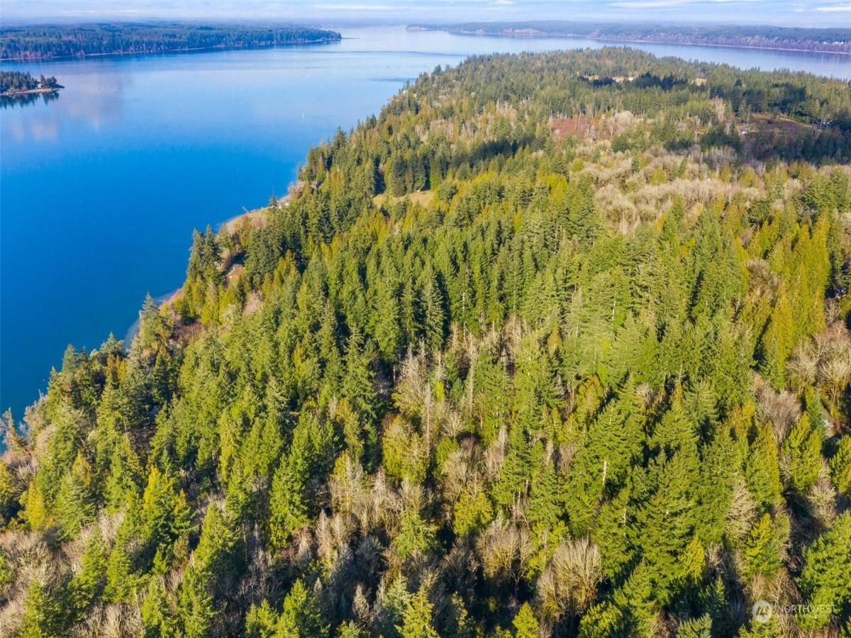 MLS #NWM2031845 image #0