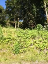 MLS #NWM2063550 image #2