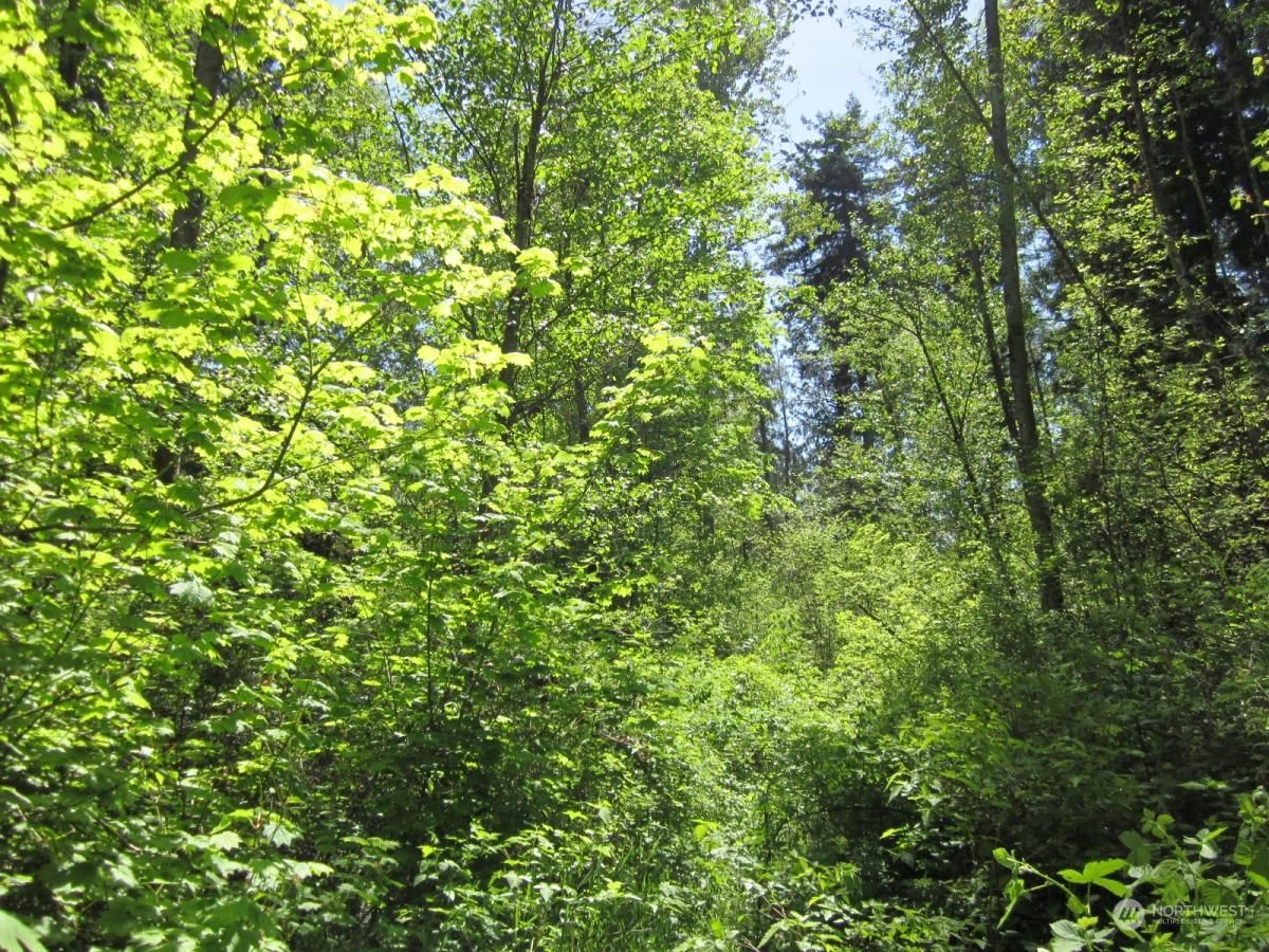 MLS #NWM2137333 image #0