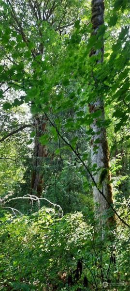 MLS #NWM2146006 image #0