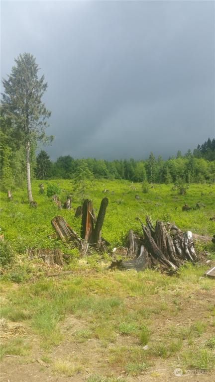 MLS #NWM2149971 image #0