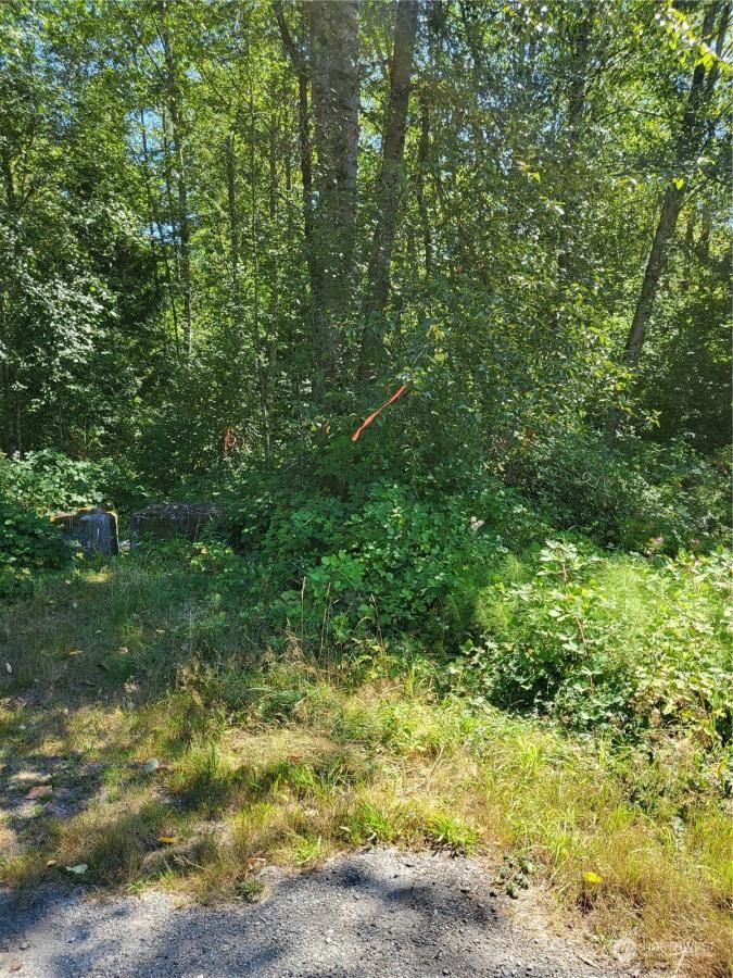 MLS #NWM2150402 image #0