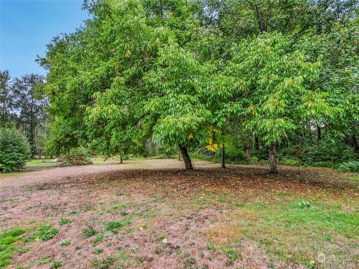 MLS #NWM2156004 image #11