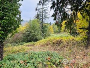 MLS #NWM2172505 image #0