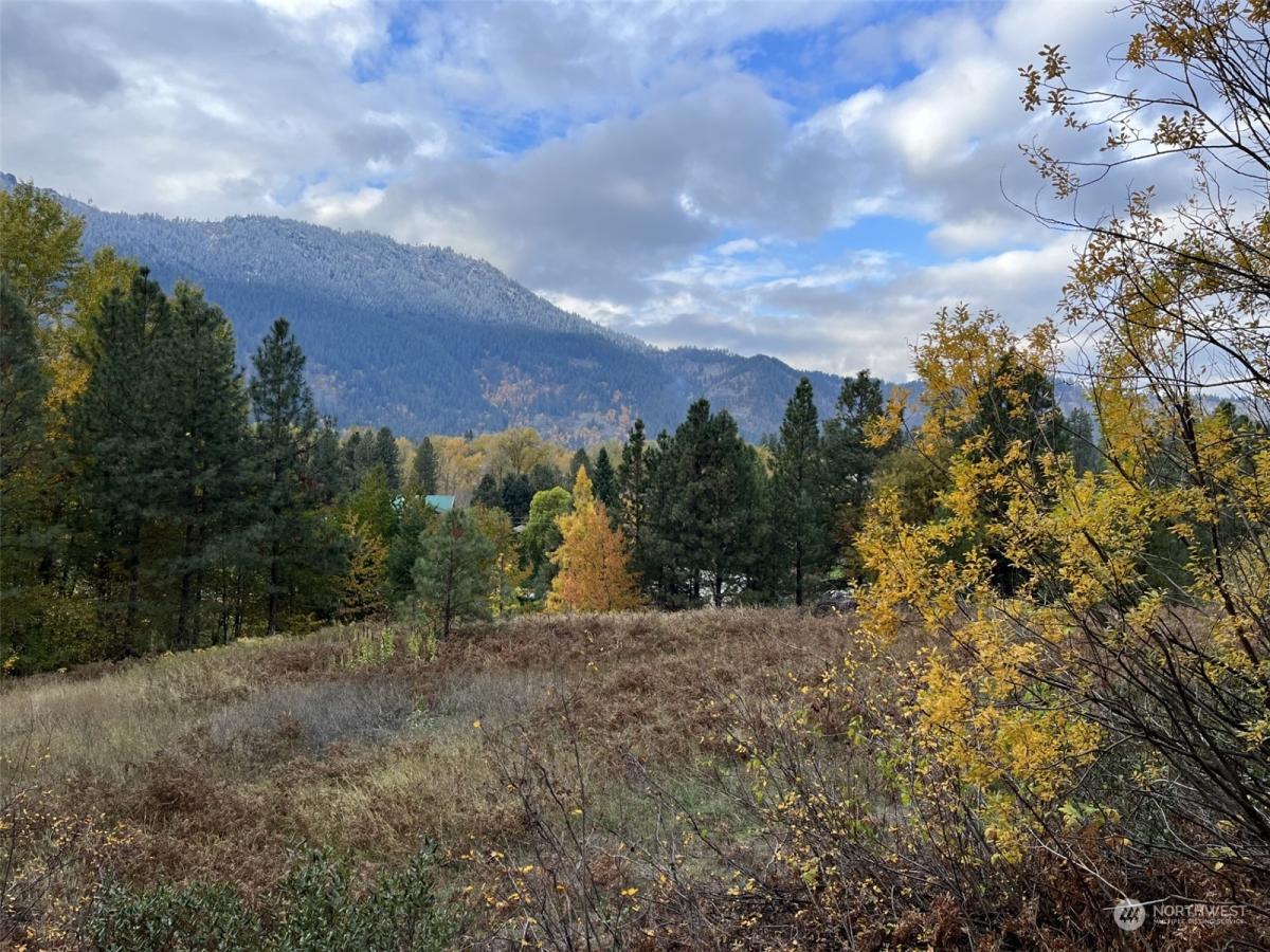 MLS #NWM2174626 image #0